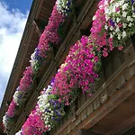 Hotell Alpenhotel Tirolerhof Neustift im Stubaital