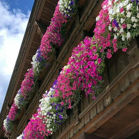 Hotel Alpenhotel Tirolerhof Neustift im Stubaital