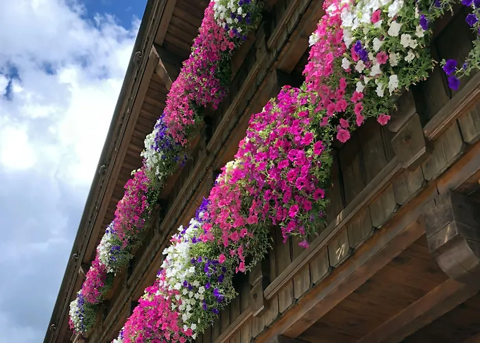 Hotel Alpenhotel Tirolerhof Neustift im Stubaital