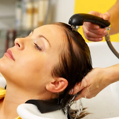 Hotel Alpenhotel Tirolerhof