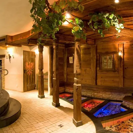 Alpenhotel Tirolerhof Hotel 4*