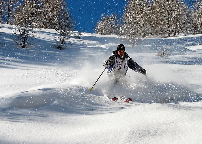 Alpenhotel Tirolerhof Hotel